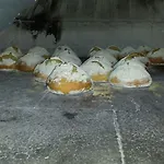 Monte Sirai * كاربونيا